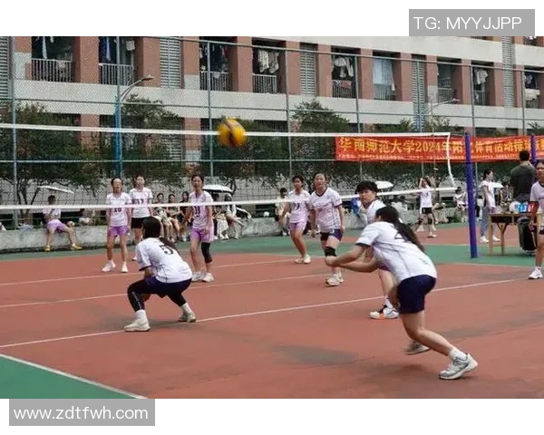 深圳排球队创下排球耐力新高运动员拼搏精神值得赞扬