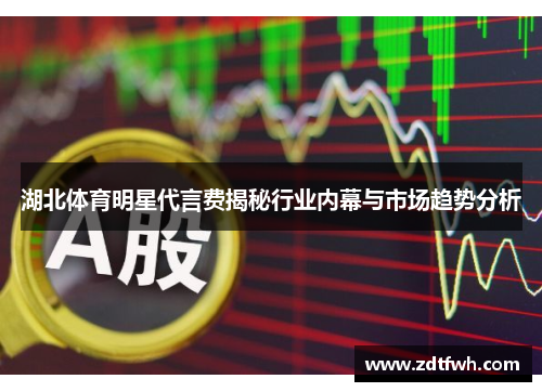湖北体育明星代言费揭秘行业内幕与市场趋势分析